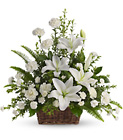 Peaceful White Lilies Basket from Backstage Florist in Richardson, Texas